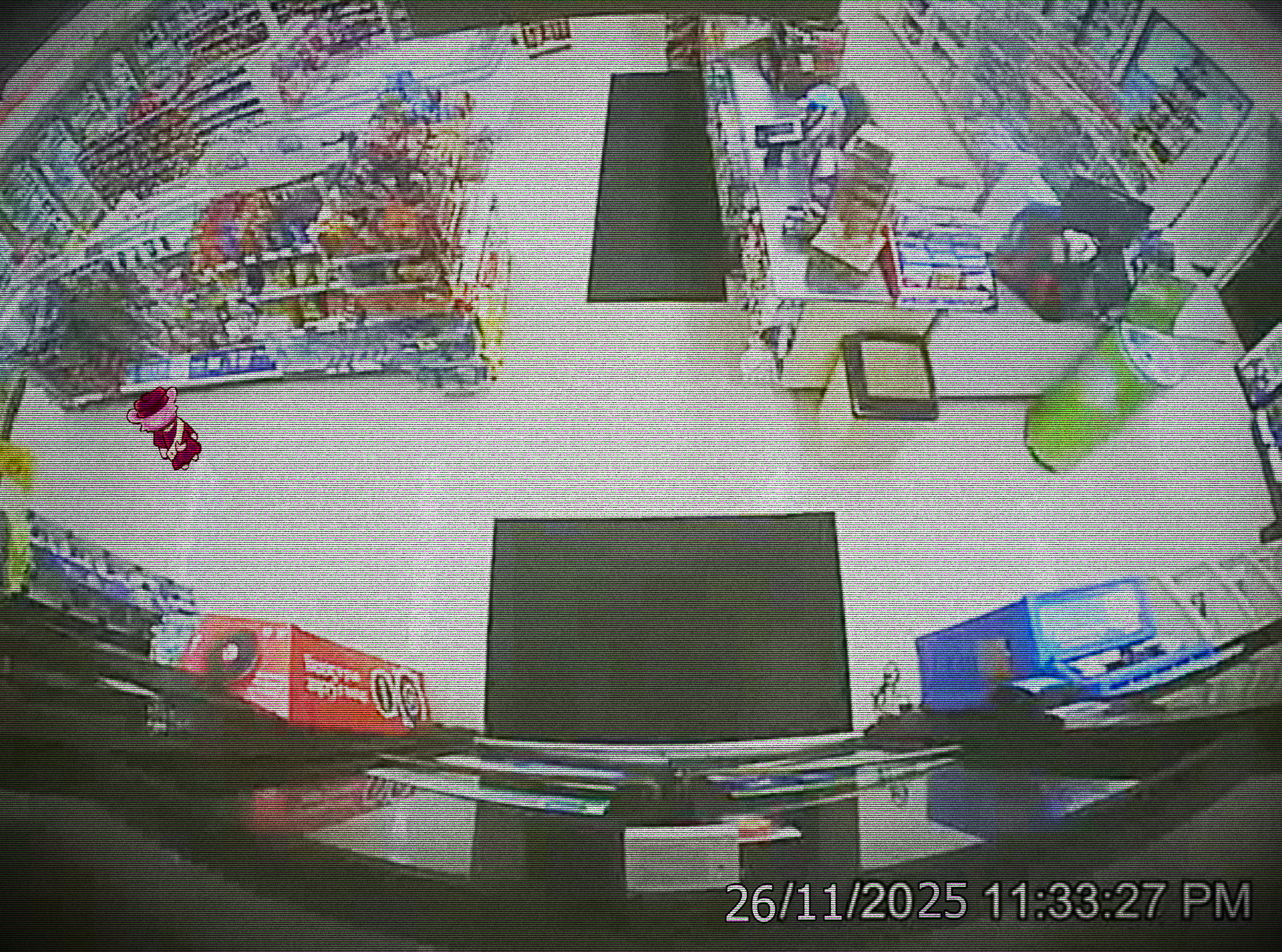 Foto 4 - Candy entrando a la tienda